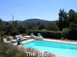 The pool!