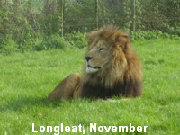 Longleat, November